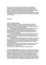 Konspekts 'Cilvēktiesības', 9.