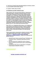 Konspekts 'Cilvēktiesības', 15.