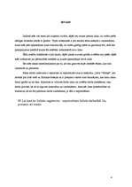 Referāts 'Virtuves darbarīku izvēle ēdināšanas uzņēmumā', 4.