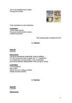 Referāts 'Virtuves darbarīku izvēle ēdināšanas uzņēmumā', 11.