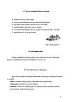 Referāts 'Virtuves darbarīku izvēle ēdināšanas uzņēmumā', 18.