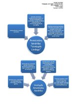 Prezentācija 'Pieaugušo izglītības iespējas un to analīze Ventspils pilsētā', 4.