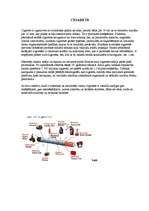 Referāts 'Cigaretēm - nē', 4.