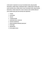 Referāts 'Diplomdarbu analīze', 2.