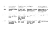 Konspekts 'Vara', 2.