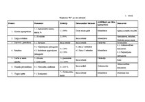 Konspekts 'Uzņēmumā notiekošie procesi', 4.