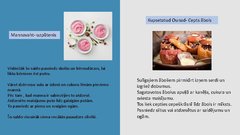 Prezentācija 'Igaunija', 10.