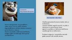 Prezentācija 'Igaunija', 11.