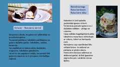 Prezentācija 'Igaunija', 12.