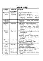 Referāts 'Mājas kaķis', 3.