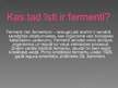 Prezentācija 'Fermenti', 2.