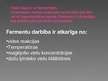 Prezentācija 'Fermenti', 12.
