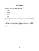 Prakses atskaite 'Prakses atskaite, loģistikas uzņēmums', 19.