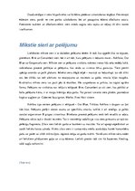 Eseja 'Siera veidi, izgatavošana, piedāvājums', 7.