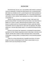 Referāts 'Senās Romas filosofija un zinātnes atklājumi', 13.