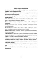 Prakses atskaite 'Karitatīvā sociālā darba pirmsdiploma prakse', 26.