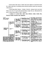 Referāts 'Ciltskoka veidošana', 8.