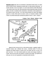 Referāts 'Ciltskoka veidošana', 10.