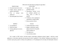 Diplomdarbs 'Patērētāju uzvedība un mārketinga plāns individuālo ceļojumu organizēšanai uzņēm', 56.