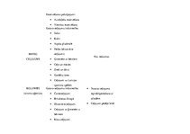 Diplomdarbs 'Patērētāju uzvedība un mārketinga plāns individuālo ceļojumu organizēšanai uzņēm', 62.