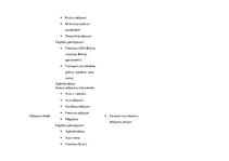 Diplomdarbs 'Patērētāju uzvedība un mārketinga plāns individuālo ceļojumu organizēšanai uzņēm', 63.