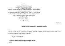 Diplomdarbs 'Patērētāju uzvedība un mārketinga plāns individuālo ceļojumu organizēšanai uzņēm', 77.