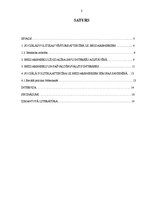 Referāts 'Bezdarbnieki', 2.