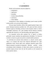 Referāts 'Revolveri', 21.