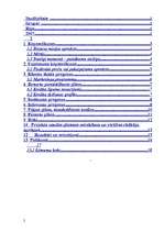 Biznesa plāns 'SIA "Gavanna"', 2.