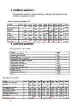 Biznesa plāns 'SIA "Gavanna"', 8.