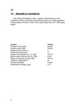 Biznesa plāns 'SIA "Gavanna"', 15.