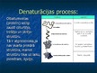 Prezentācija 'Denaturācija', 5.
