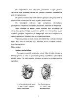 Konspekts 'Metālapstrāde', 5.