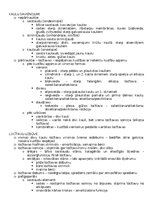 Konspekts 'Anatomija; ķermeņa uzbūves pamatprincipi', 5.