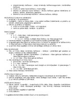 Konspekts 'Anatomija; ķermeņa uzbūves pamatprincipi', 7.