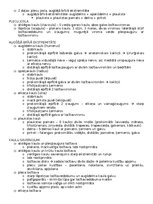 Konspekts 'Anatomija; ķermeņa uzbūves pamatprincipi', 8.