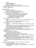 Konspekts 'Anatomija; ķermeņa uzbūves pamatprincipi', 10.