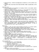 Konspekts 'Anatomija; ķermeņa uzbūves pamatprincipi', 11.