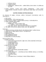 Konspekts 'Anatomija; ķermeņa uzbūves pamatprincipi', 12.