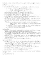 Konspekts 'Anatomija; ķermeņa uzbūves pamatprincipi', 13.