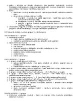 Konspekts 'Anatomija; ķermeņa uzbūves pamatprincipi', 14.