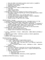 Konspekts 'Anatomija; ķermeņa uzbūves pamatprincipi', 15.