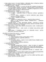 Konspekts 'Anatomija; ķermeņa uzbūves pamatprincipi', 16.