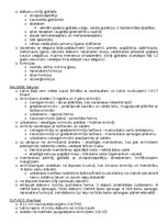 Konspekts 'Anatomija; ķermeņa uzbūves pamatprincipi', 18.