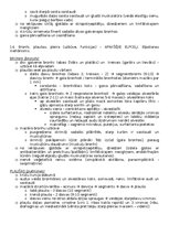 Konspekts 'Anatomija; ķermeņa uzbūves pamatprincipi', 19.