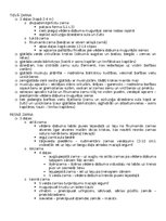 Konspekts 'Anatomija; ķermeņa uzbūves pamatprincipi', 25.