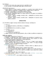 Konspekts 'Anatomija; ķermeņa uzbūves pamatprincipi', 27.