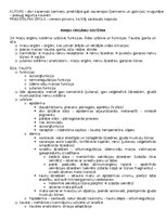 Konspekts 'Anatomija; ķermeņa uzbūves pamatprincipi', 32.