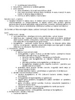 Konspekts 'Anatomija; ķermeņa uzbūves pamatprincipi', 35.