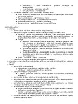 Konspekts 'Anatomija; ķermeņa uzbūves pamatprincipi', 37.